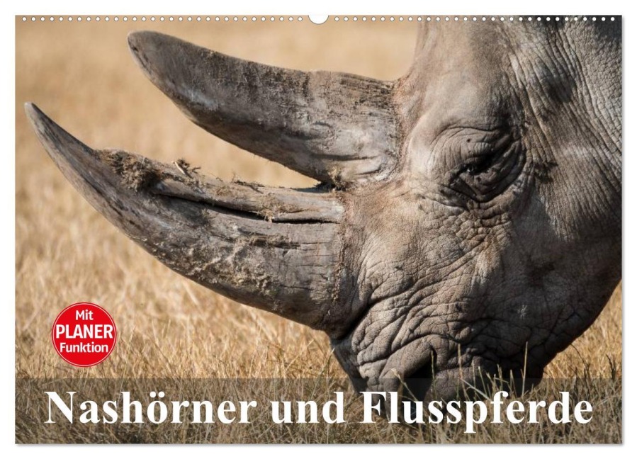 Nashörner und Flusspferde (Wandkalender 2026 DIN A2 quer), CALVENDO Monatskalender - Elisabeth Stanzer