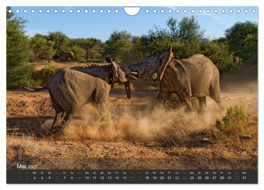 InsideView 10
