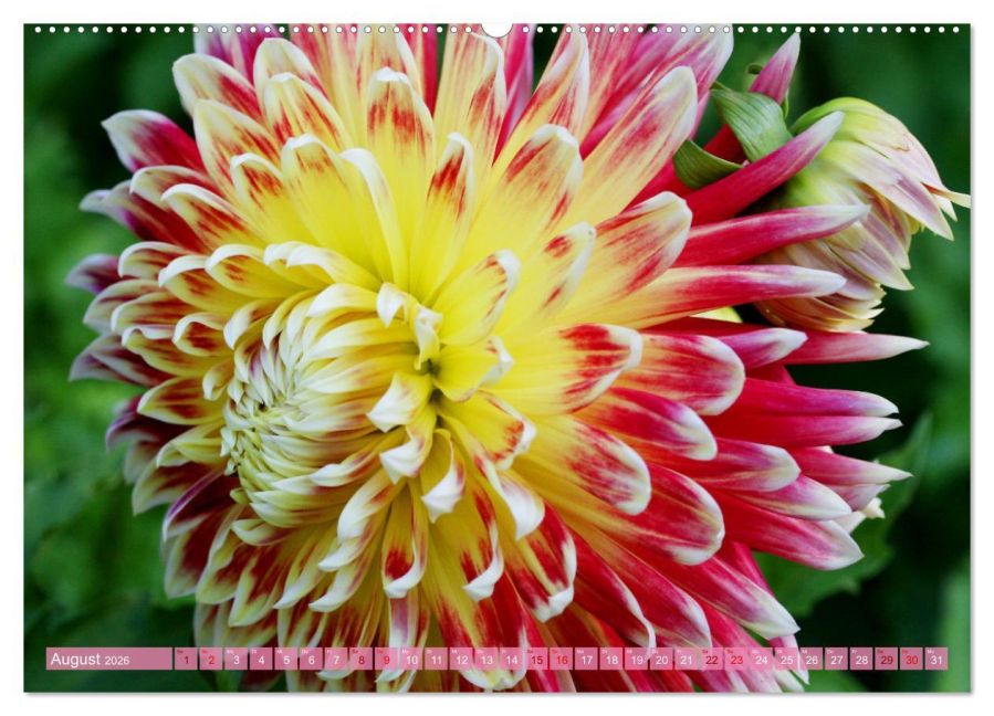 InsideView 12