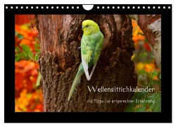 Cover-Bild zum Titel 'Wellensittichkalender mit Tipps zur artgerechten Ernährung (Wandkalender 2027 DIN A4 quer), CALVENDO Monatskalender' von 'Björn Bergmann'