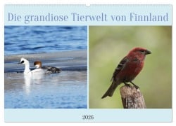 Cover-Bild zum Titel 'Die grandiose Tierwelt von Finnland (Wandkalender 2026 DIN A2 quer), CALVENDO Monatskalender' von 'Winfried Erlwein'