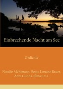 Cover-Bild zum Titel 'Einbrechende Nacht am See' von 'Natalie Mehlmann, Beate Loraine Bauer, Ante Gune Culina'