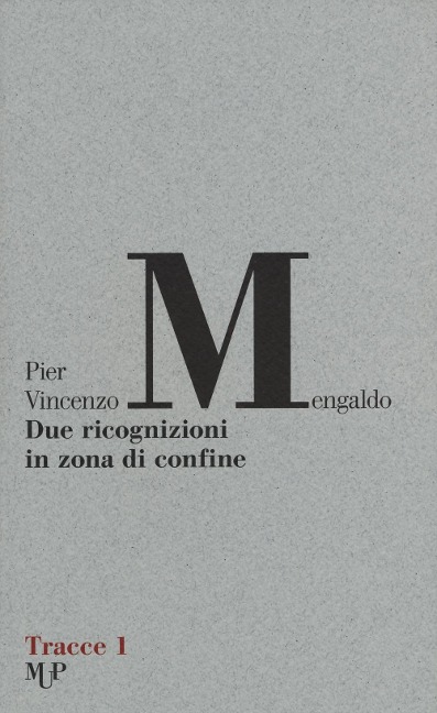Due ricognizioni in zona di confine - Pier Vincenzo Mengaldo