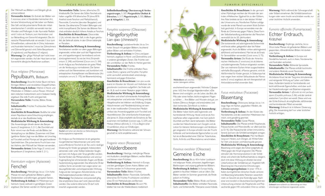 InsideView 6