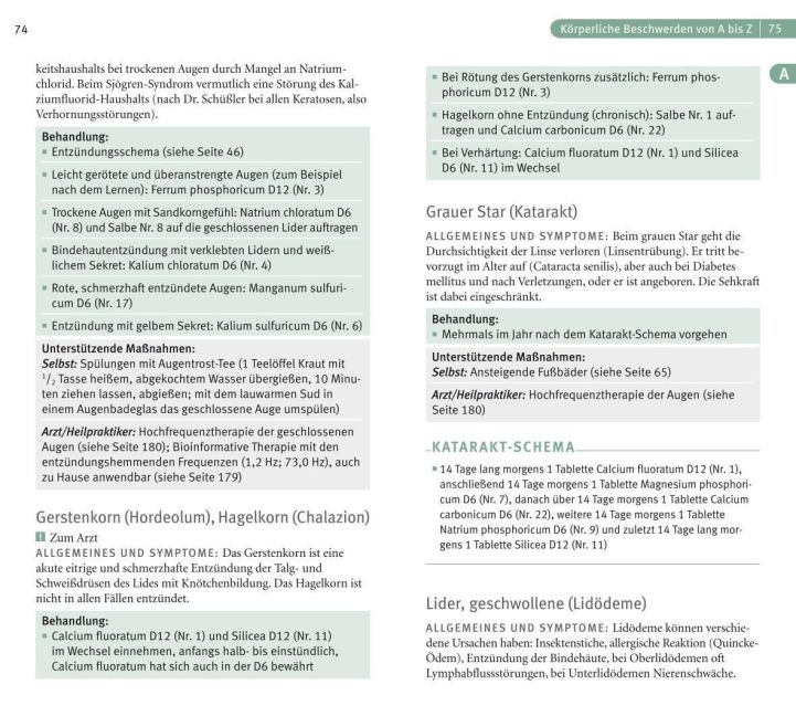InsideView 8