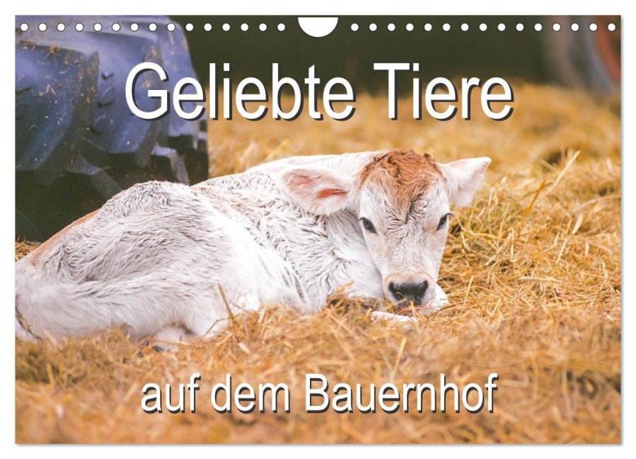 Geliebte Tiere auf dem Bauernhof (Wandkalender 2026 DIN A4 quer), CALVENDO Monatskalender - Carola Vahldiek