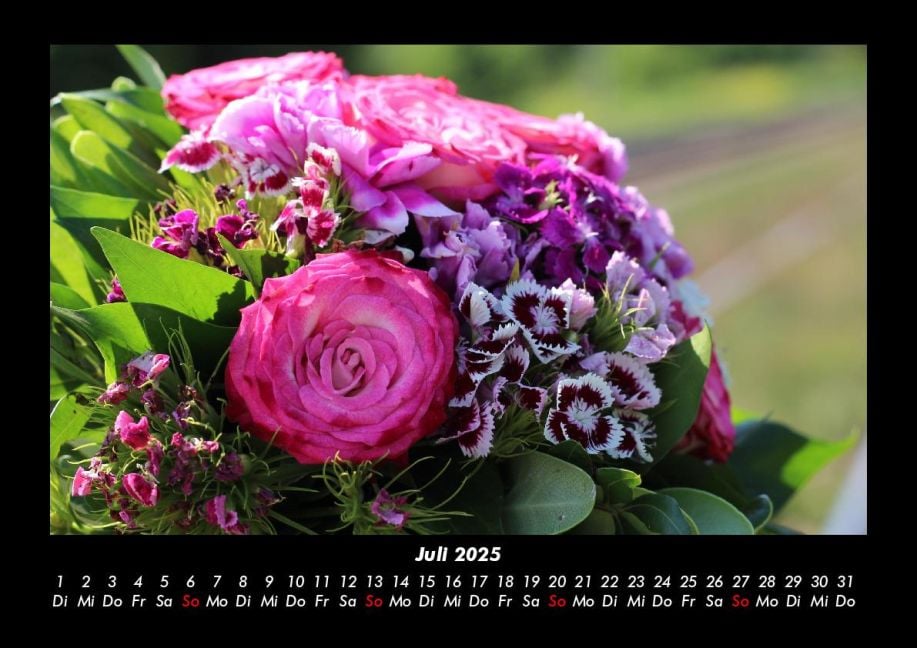 InsideView 11
