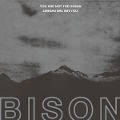Cover-Bild zum Titel 'You Are Not The Ocean You Are The Patient' von 'Bison'
