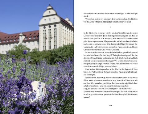 InsideView 15