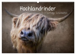 Hochlandrinder - Zottelige Schönheiten (Wandkalender 2026 DIN A2 quer), CALVENDO Monatskalender - Claudia Moeckel
