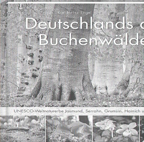 Deutschlands alte Buchenwälder - Karl Heinz Engel