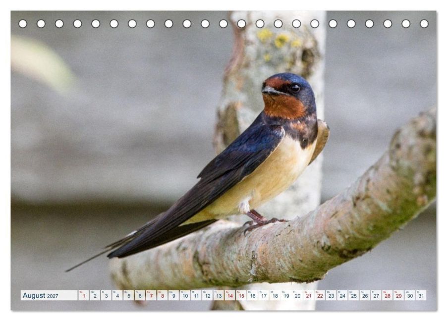 InsideView 13