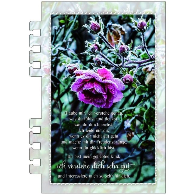 InsideView 10