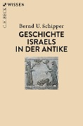 Cover-Bild zum Titel 'Geschichte Israels in der Antike' von 'Bernd U. Schipper'