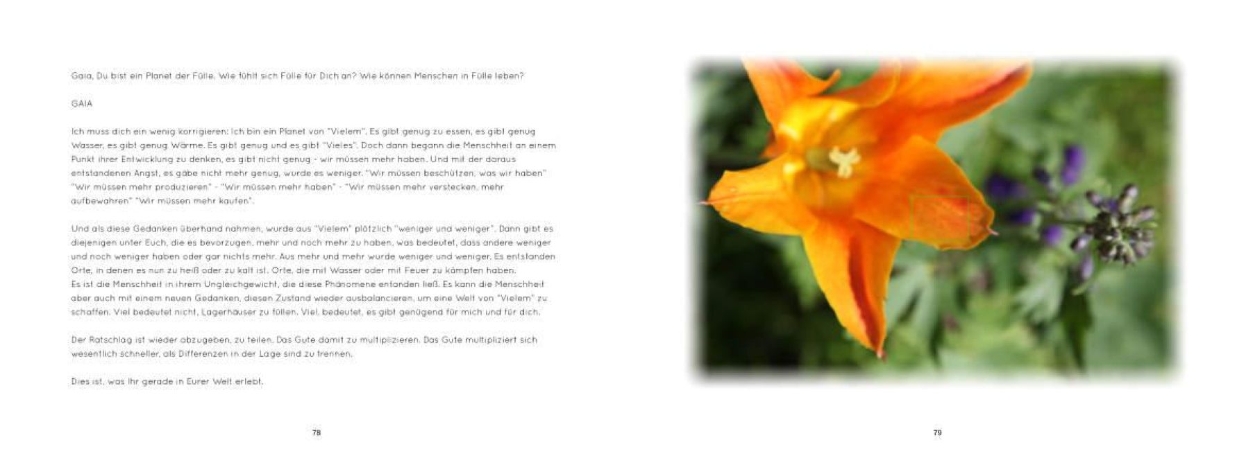 InsideView 5