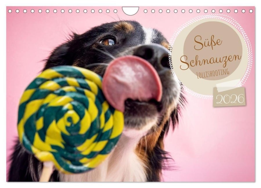 Süße Schnauzen (Wandkalender 2026 DIN A4 quer), CALVENDO Monatskalender - Annabell Gsödl
