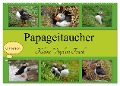 Papageitaucher Kleine Vögel im Frack CH Version (Wandkalender 2024 DIN A2 quer), CALVENDO Monatskalender - Babett Paul - Babett's Bildergalerie
