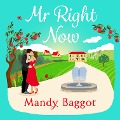 Mr Right Now - Mandy Baggot