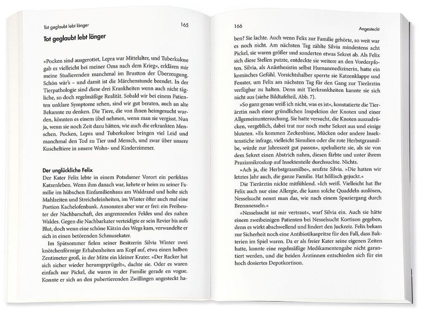 InsideView 1