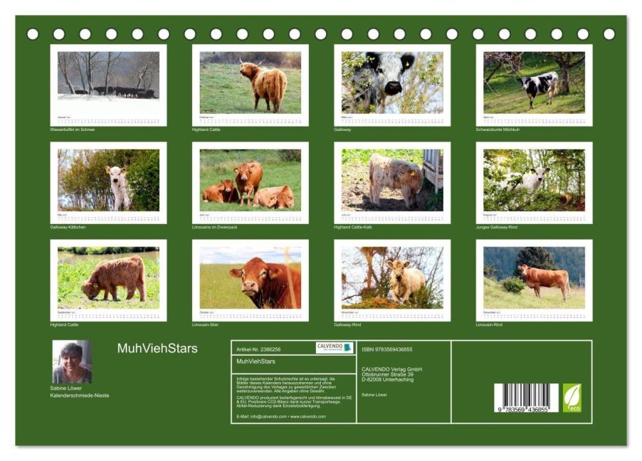 InsideView 5