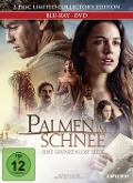 Cover-Bild zum Titel 'Palmen Im Schnee - Eine grenzenlose Liebe' von 'Sergio G. Sánchez, Lucas Vidal'
