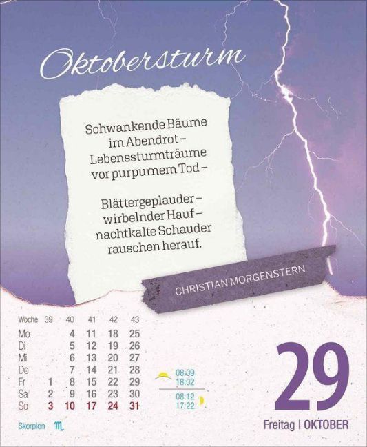 InsideView 13