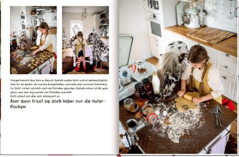 InsideView 4