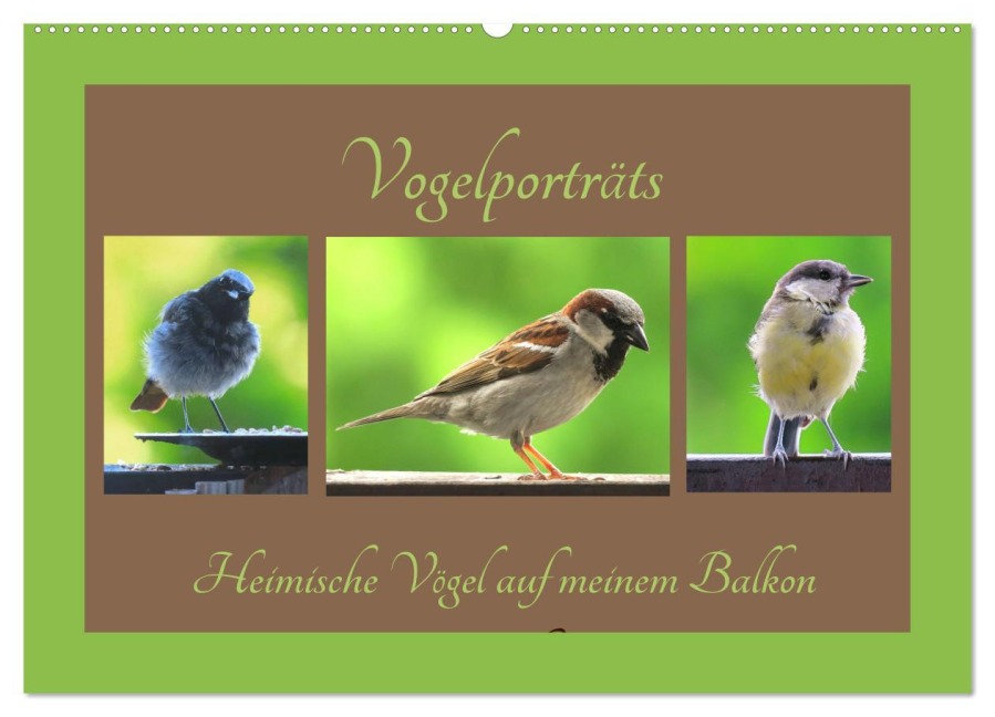Vogelporträts - Heimische Vögel auf meinem Balkon (Wandkalender 2026 DIN A2 quer), CALVENDO Monatskalender - Claudia Schimmack