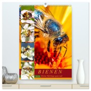 BIENEN - Kleine Nützlinge ganz nah (hochwertiger Premium Wandkalender 2026 DIN A2 hoch), Kunstdruck in Hochglanz - Andrea Dreegmeyer