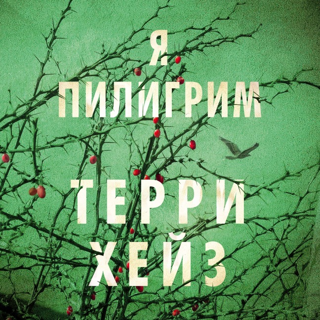 I am Pilgrim - Terry Hayes