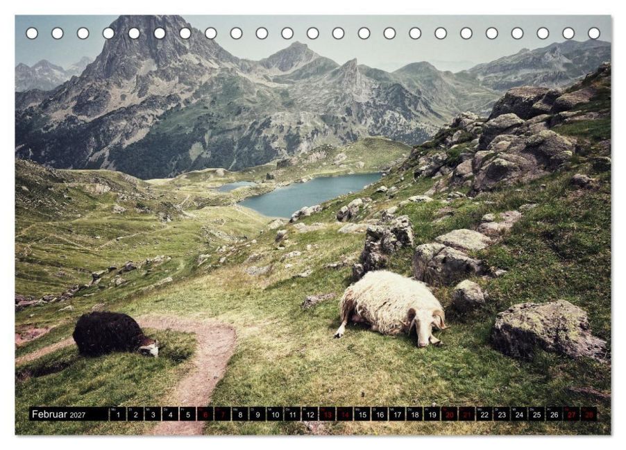 InsideView 7