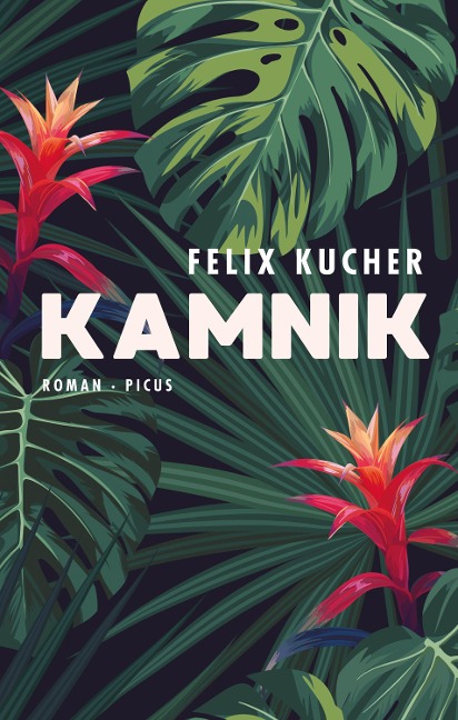 Kamnik - Felix Kucher