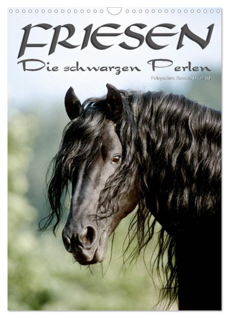 Friesen - die schwarzen Perlen (Wandkalender 2026 DIN A3 hoch), CALVENDO Monatskalender - Ramona Dünisch - Www. Ramona-Duenisch. De