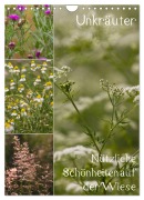 Cover-Bild zum Titel 'Unkräuter - Nützliche Schönheiten auf der Wiese (Wandkalender 2026 DIN A4 hoch), CALVENDO Monatskalender' von 'Drachenkind-Fotografie Drachenkind-Fotografie'