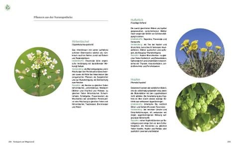 InsideView 7