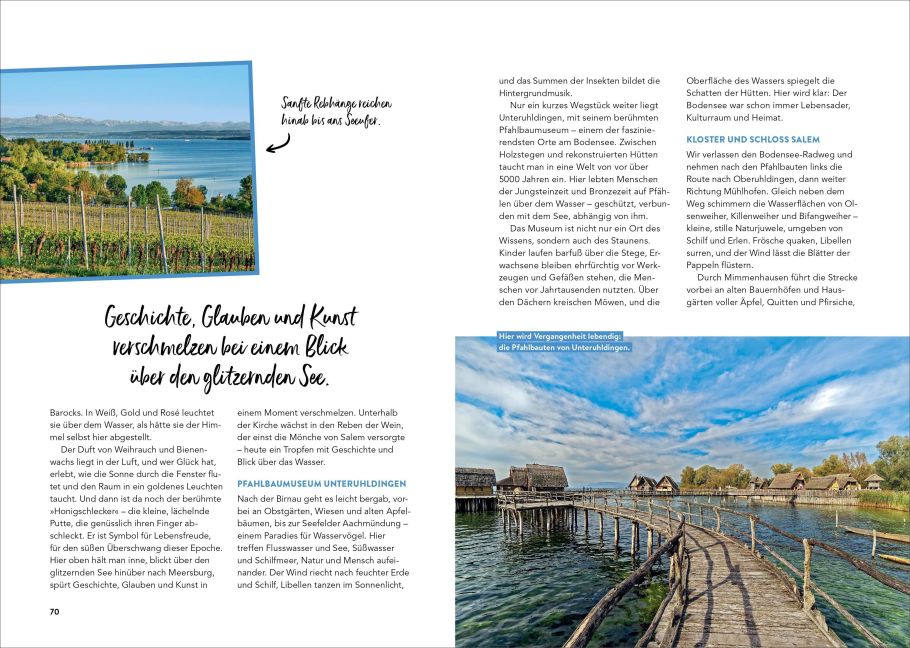 InsideView 6