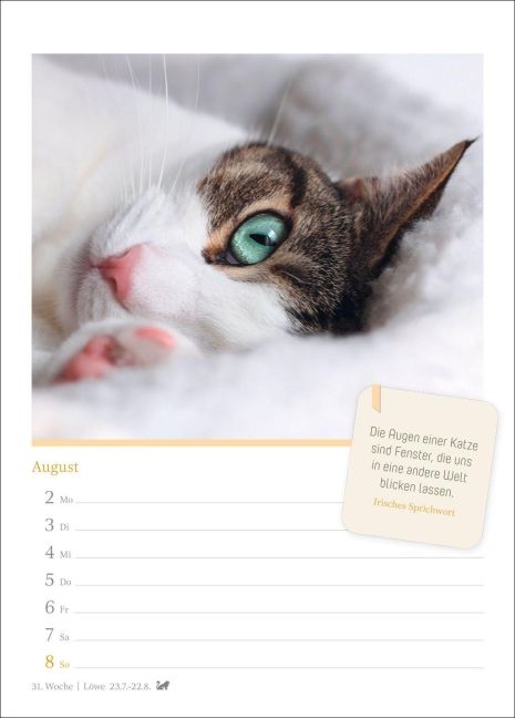 InsideView 11