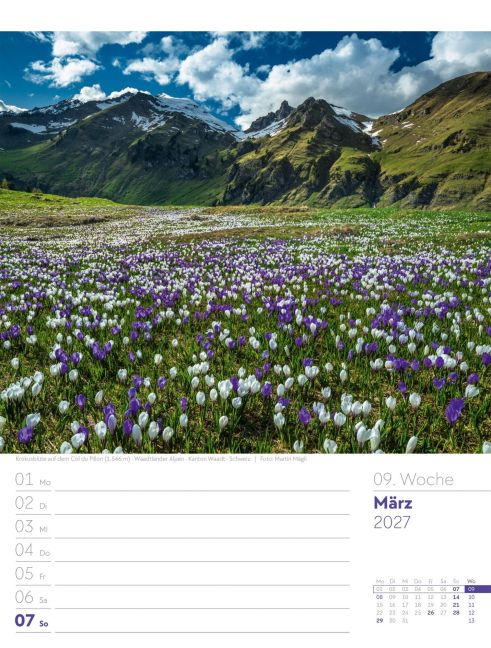 InsideView 13