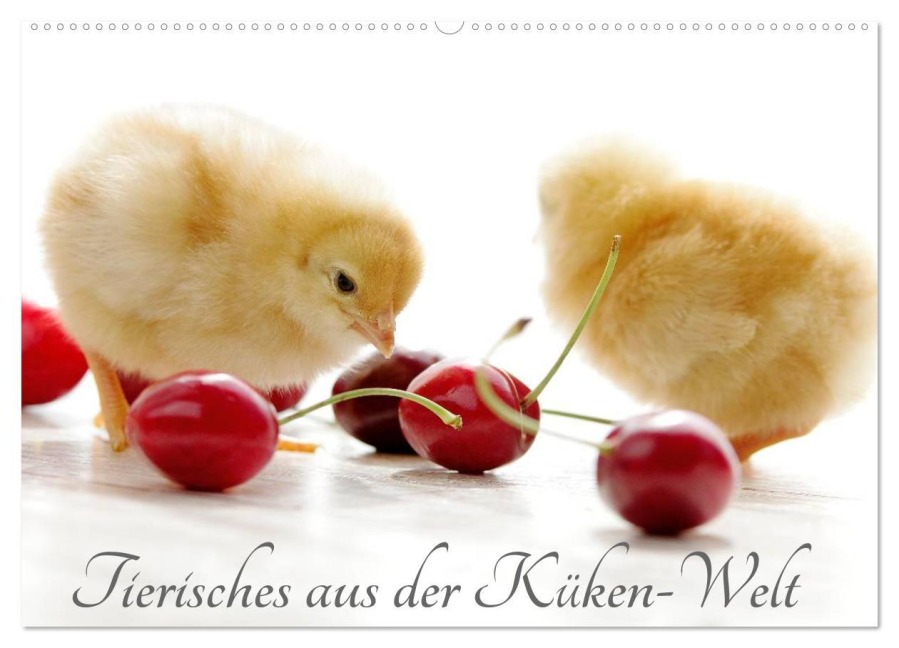 Tierisches aus der Küken-Welt (Wandkalender 2025 DIN A2 quer), CALVENDO Monatskalender - Tanja Riedel