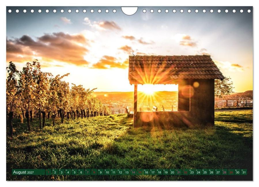 InsideView 13
