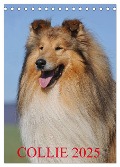 Collie 2025 (Tischkalender 2025 DIN A5 hoch), CALVENDO Monatskalender - Sigrid Starick