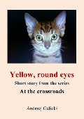 Yellow, Round Eyes - Mystery Short Story - Andrzej Galicki