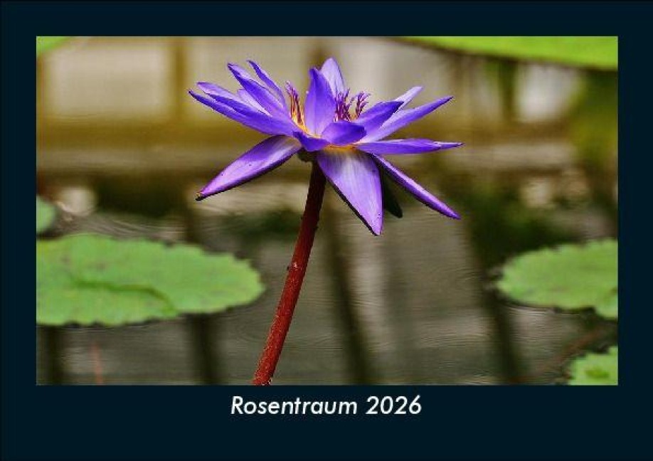 Rosentraum 2026 Fotokalender DIN A5 - Tobias Becker