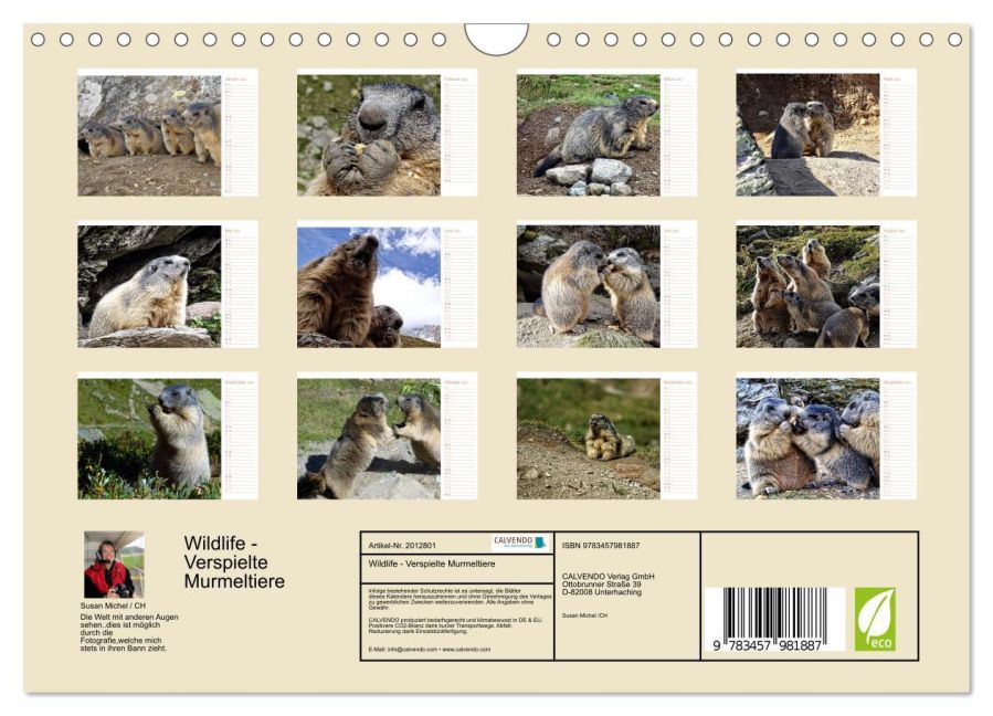 InsideView 5