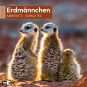 Erdmännchen Broschürenkalender 2026 - 30x30 - Art12 - 