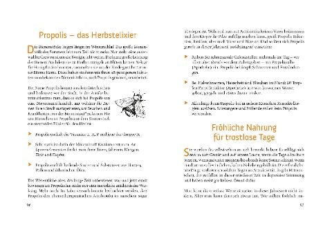 InsideView 3