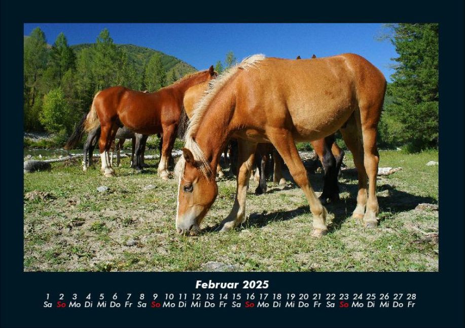 InsideView 6