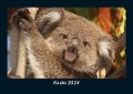 Koala 2024 Fotokalender DIN A5 - Tobias Becker