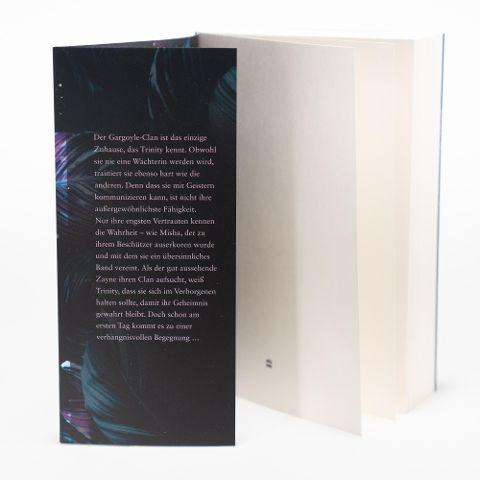 InsideView 7
