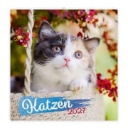 Cover-Bild zum Titel 'TRÖTSCH - Broschürenkalender Katzen 2027' von ''